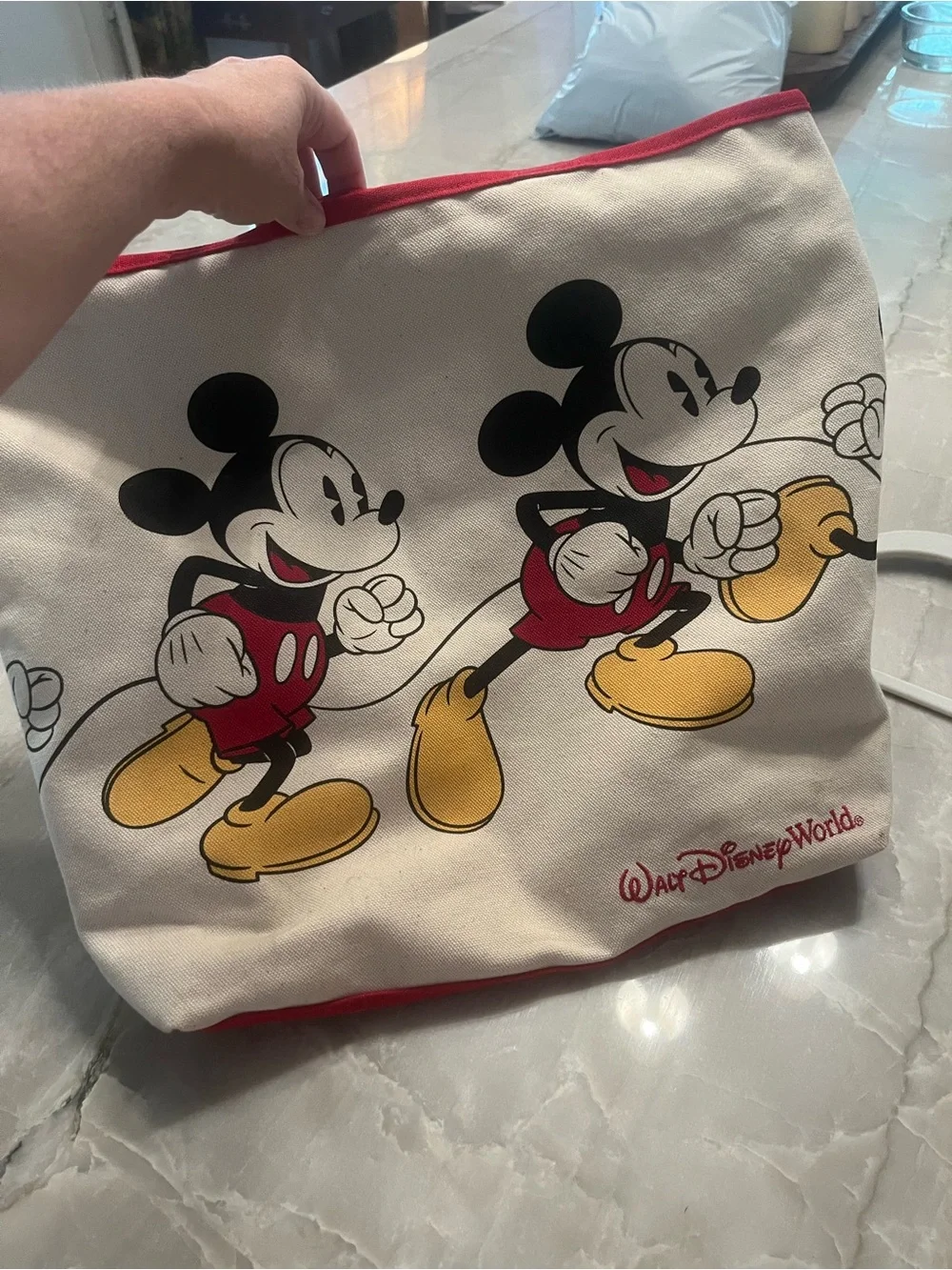 Disney Mickey Mouse Canvas Tote in White, Red, Black and Yellow